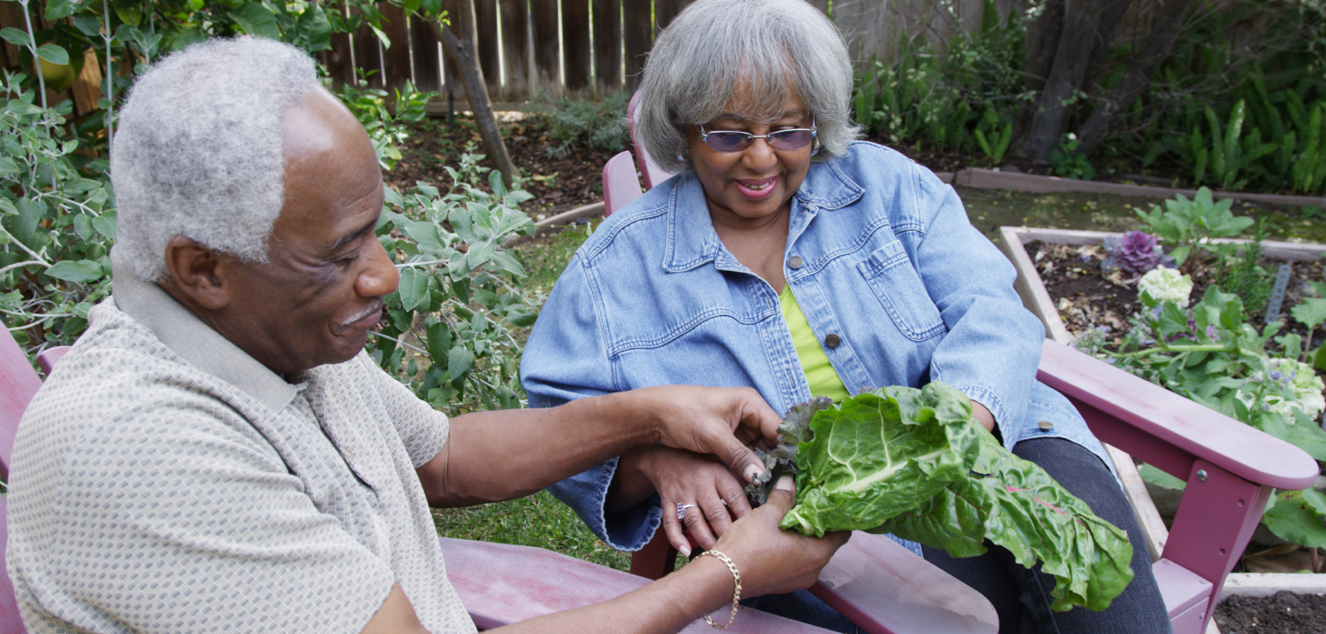 A man and a woman sit in Adirondack chairs in a fenced backyard garden, smiling at their freshly picked collard greens.