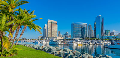 San Diego skyline daytime with palm tree and water